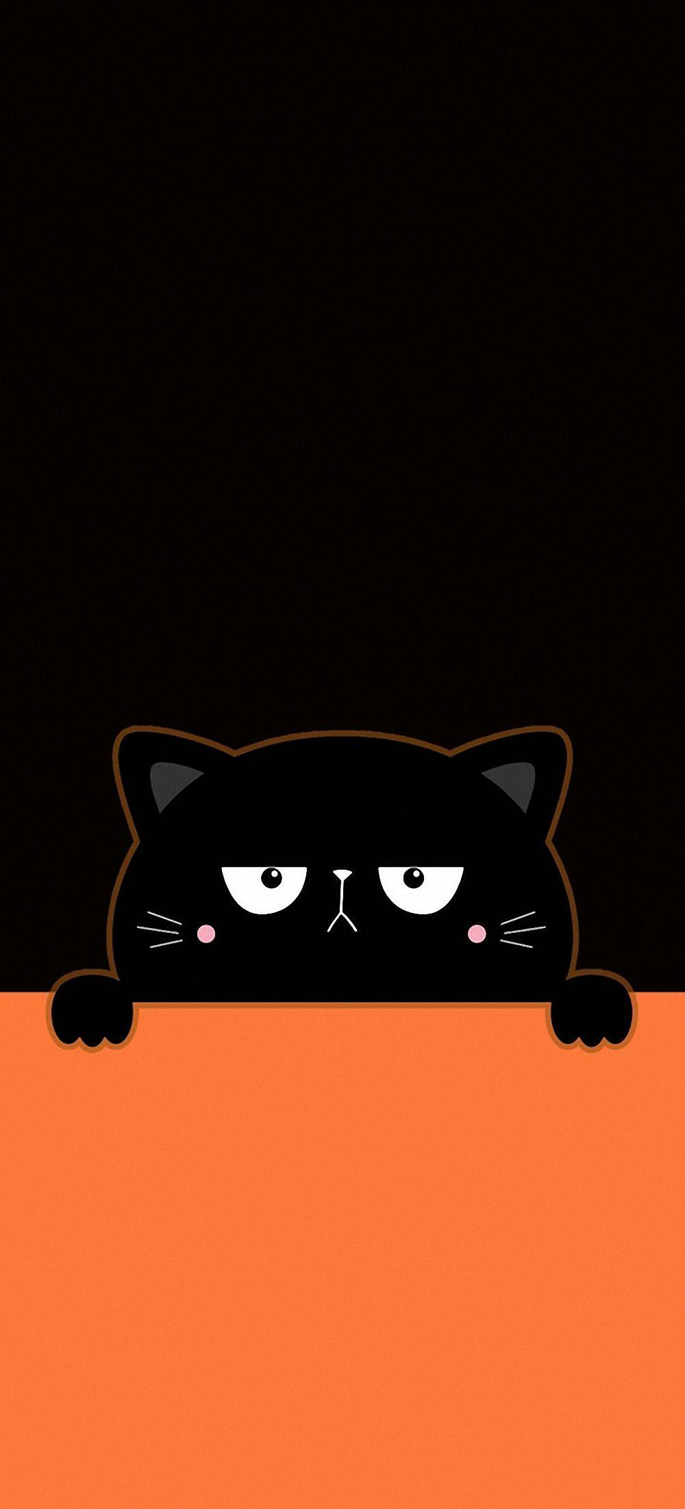 Cute Peeking Black Cat AMOLED 4K Mobile Wallpaper HD Wallpaper